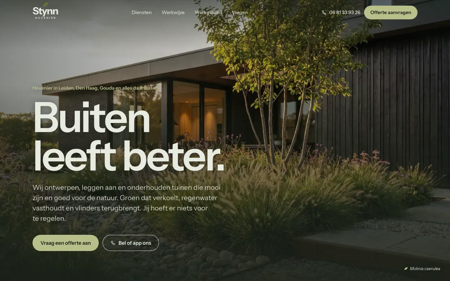 Golden-hour homepage
